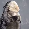Joshua St.Clair - @joshua.st.clair - TikTok