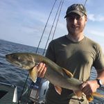 Joshua Steadman - @joshua_steadman - Instagram