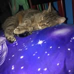 Joshua Stebner - Facebook
