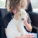 Joshua Steffensen - @xxbatman0420xx - Instagram
