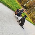 Joshua Stein - @stein3579 - Instagram