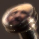 Joshua Stern - @joshuas845 - Instagram