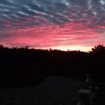 Joshua Stern - @southpaw_stern - Instagram