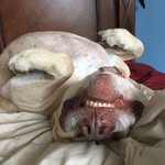 Josh Stetson - @_joshstetson_ - Instagram