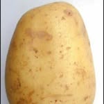 Joshua🥔🥔§∆•=°• - @joshua_sticker_de_papa__ - Instagram