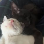 Joshua Stivers - @joshua_freakin_stivers - Instagram