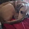 Joshua Stone - @joshua.stone82 - TikTok
