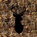 Josh Stonecipher - Facebook