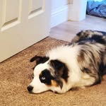 Joshua Storms - @eternalstorms_ - Instagram