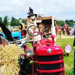 Joshua Strain - @joshua546s - Instagram
