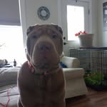 Joshua Streeter - @streeter1345 - Instagram