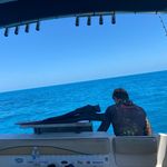 Josh Strong - @joshuastrong_ - Instagram