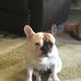 Joshua Strother - Facebook
