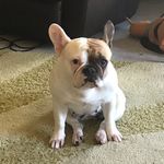 Joshua Strother - @joshua.strother.754 - Instagram