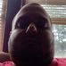 Joshua Sutton - Facebook