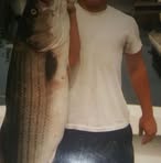 Josh Tapley - Facebook