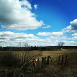 joshuatrott - @joshuatrott16 - Instagram