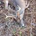 Joshua Troxell - Facebook