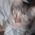 Joshua Utterback - Facebook