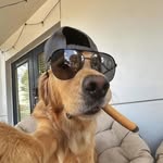 Joshua Vera - @joshuavera2 - Instagram