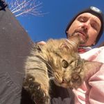 Josh Warnick - @biscuitity - Instagram
