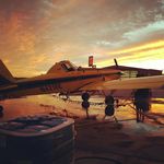 Josh Warnick - @warnickjosh - Instagram