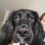 Joshua Warnock-mann - @warnomann - Instagram
