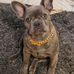 Josh Watterson - Facebook