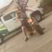 Joshua Waugh - Facebook