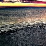 Joshua Whidden - @whidden_whidden - Instagram