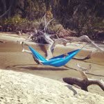 Josh Womble - @jwomb - Instagram