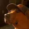 joshuaworthy - @joshuaworthy - TikTok