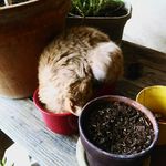 Joshua Yoder - @_im_a_fluffing_savage_ - Instagram