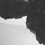 Josiah Carrillo - @siah_the_king - Instagram