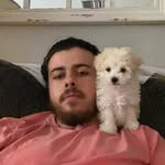 Josiah Crowe - @josiahcrowe - Instagram