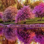 Josiah Gilbert - @gilbertjosiah - Instagram