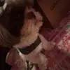 josiahgilbertgran - @josiah.gilbert.gr - TikTok