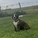 Josiah Harvey - @josiah_harvey_07 - Instagram