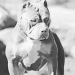 Josiah Harvey - @harvey_josiah - Instagram