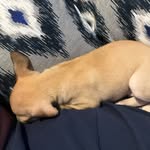 josiah Herrera - @josiahh1414 - Instagram