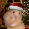 Josiah Matthews - @josiah_matthews - TikTok