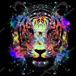 Josiah Matthews - @_matthews_josiah_11 - Instagram