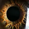 Josiah Moon - @josiah.moon - TikTok