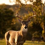 Josiah Nolan - Facebook