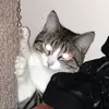 Josiah_Schmidt - @josiah_schmidt - TikTok
