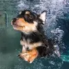 josiahschmidt - @josiah.schmidt - TikTok