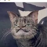 Josiah/simpson/memes - @josiahsmemes - Instagram