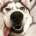 Josiah Solis - @mr.solisj - Instagram