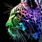 Josiah Sutherland - @sparkly_dragons_are_real - Instagram
