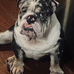 Josiah Ware - Facebook